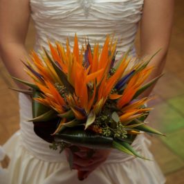 Ohio Wedding Photography