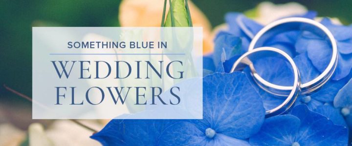 Something Borrowed, Something Blue ElegantSomethingBlue-BeautifulBlue-blog