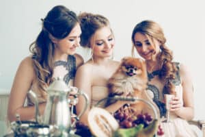 Bridesmaids and little dog