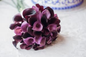 Bouquet of purple calla lilies