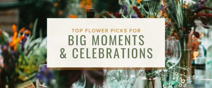 Flowers for big moments and celebrations