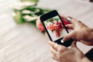 instagram photographer blogging workshop concept. hand holding phone and taking photo of stylish flowers. pink tulips on white wooden rustic background.space for text. hello spring