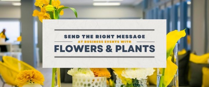 How to Enhance Any Corporate Event with Plants & Flowers flowers and plants for business events