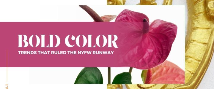 Bold colors trend that rocked the runway