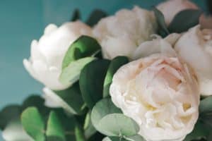 Tender pink peony with small water droplets in macro. Flower bud in bloom. Valentines Day, Romance, wedding, invitation card concept