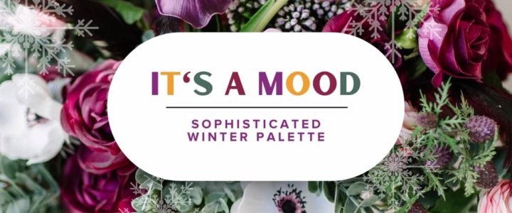 Sophisticated winter palettes