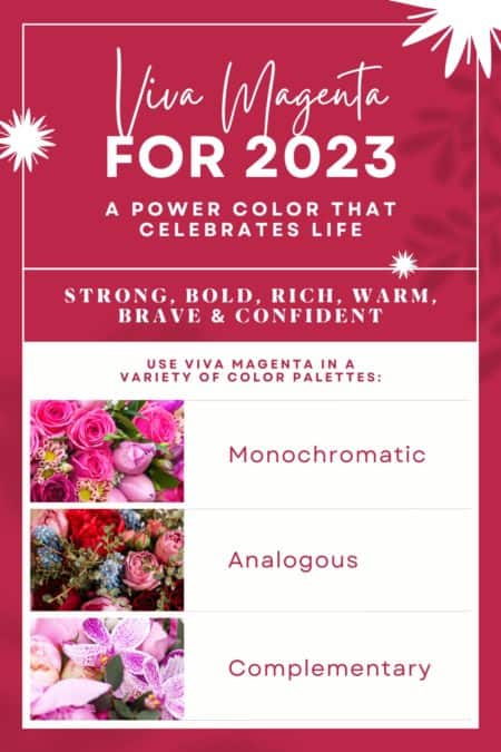 Viva magenta flowers for 2023 weddings