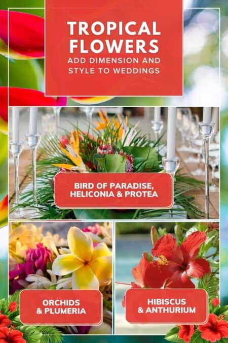 Tropical Flowers add dimension and style to weddings
