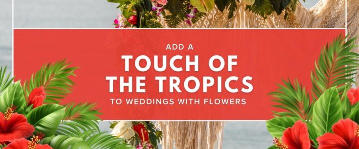 Add a touch of the tropics to weddings with flowers