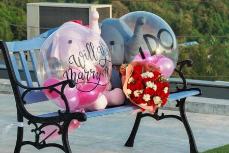The man propose a lady with flowers, balloons, and elephants