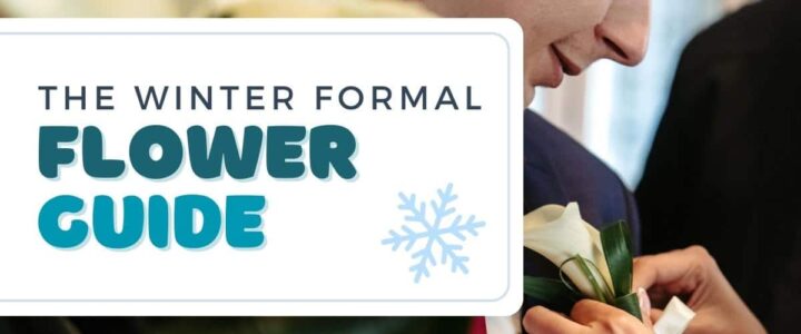 The winter formal flower guide