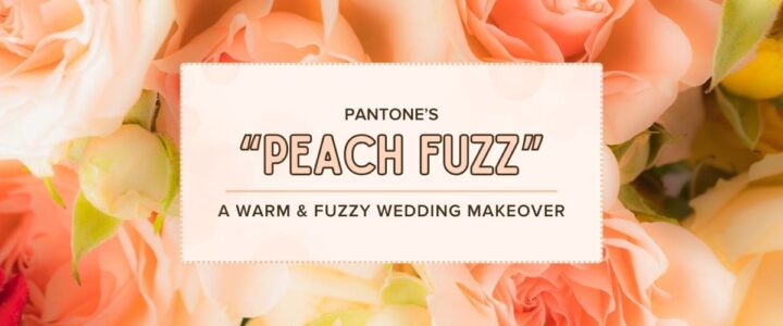 pantone's peach fuzz for a warm and fuzzy wedding makeover